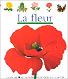 La fleur [texte et] ill. par René Mettler ; réal. par Gallimard jeunesse, Claude Delafosse et René Mettler