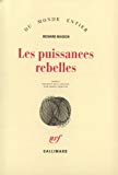 Les puissances rebelles roman Richard Bausch ; trad. de l'anglais par Serge Chauvin