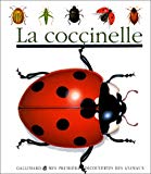 La coccinelle ill. par Sylvaine Pérols ; réalisé par Gallimard jeunesse et Pascale de Bourgoing