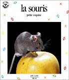 La Souris, petite coquine photo de Jean-François Franco et Thierry Bonnard, texte de Stéphane Frattini