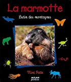 La marmotte lutin des montagnes Valérie Tracqui ; photogr. Serge et Dominique Simon