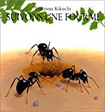 Suivons une fourmi Tsutomu Kikuchi ; trad. du japonais par Jean-Christian Bouvier