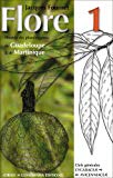 Flore illustrée des phanérogames de Guadeloupe et de Martinique Jacques Fournet 1