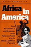 Africa in america slave acculturation and resistance in the American south and the British Caribbean, 1736-1831 Michael Mullin