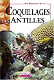 Coquillages des Antilles Jean-Pierre Pointier, Dominique Lamy