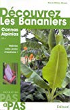 Découvrez les bananiers et leurs cousins Cannas, Alpinias... : habillez votre jardin d'exotisme !