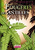 Fougères et plantes alliées des Petites Antilles [Texte imprimé] Jean-François Bernard (textes) ,Elisabeth Lavocat (photos)
