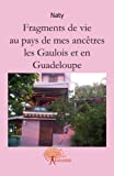 Fragments de vie au pays de mes ancêtres les Gaulois et en Guadeloupe [Texte imprimé] Naty