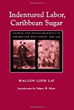 Identured labor, caribbean sugar chinese and indian migrants to the british West Indies, 1838-1918 Walton Look Lai ;introduction by Sidney W. Mintz