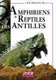 Amphibiens & reptiles des Antilles Texte imprimé Michel Breuil
