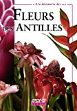 Fleurs remarquables des Antilles Texte imprimé textes, Jeanne Huchet photos, Thierry Petit Le brun