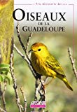 Oiseaux de la Guadeloupe Texte imprimé Édouard Bénito-Espinal & Patricia Hautcastel