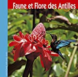 Faune et flore des Antilles Texte imprimé