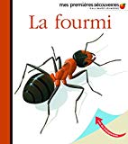La fourmi Texte imprimé illustré par René Mettler réalisé par Gallimard jeunesse et René Mettler