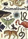 Animalium texte de Jenny Broom illustrations de Katie Scott traduit de l'anglais par Emmanuel Gros