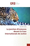 La jonction d'instances devant la Cour Internationale de justice Texte imprimé Julien Clerc Tueche